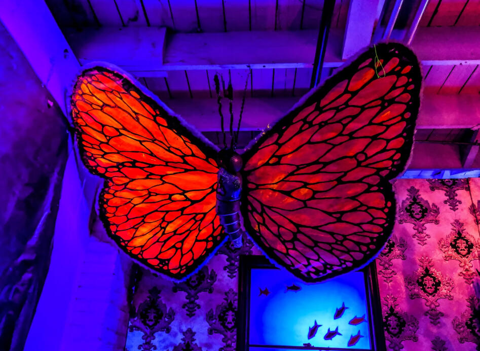 Butterfly Art at Private Party (Los Angeles, 2020)