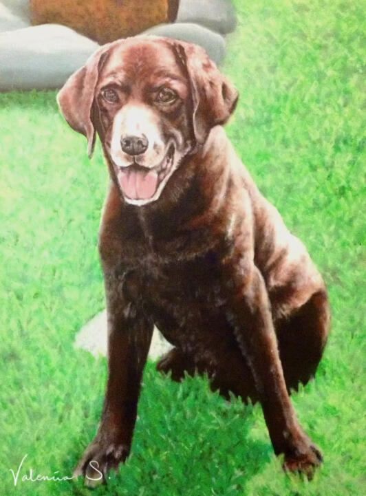 Sparkle the Dog, Commissioned Work (Singapore, 2013)